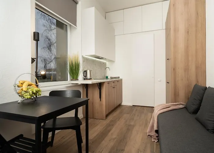 Air 211 Apartment Wilna