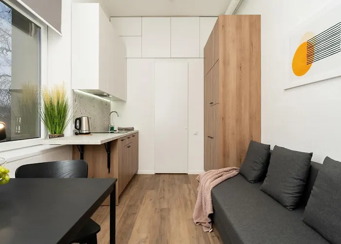 Air 211 דירה וילנה